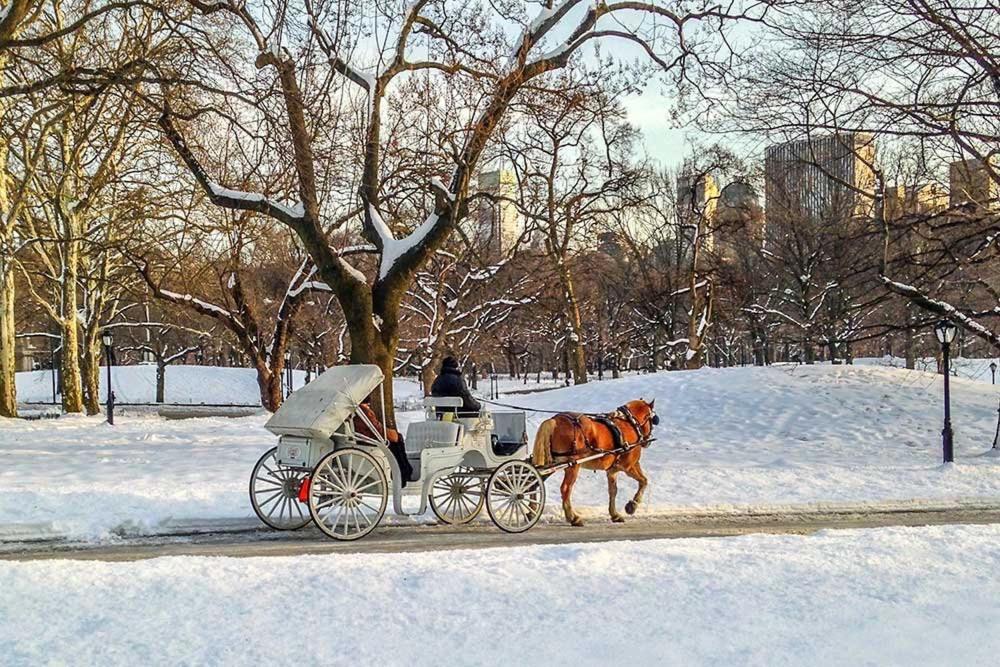 Upper East Side Manhattan Appartamento New York